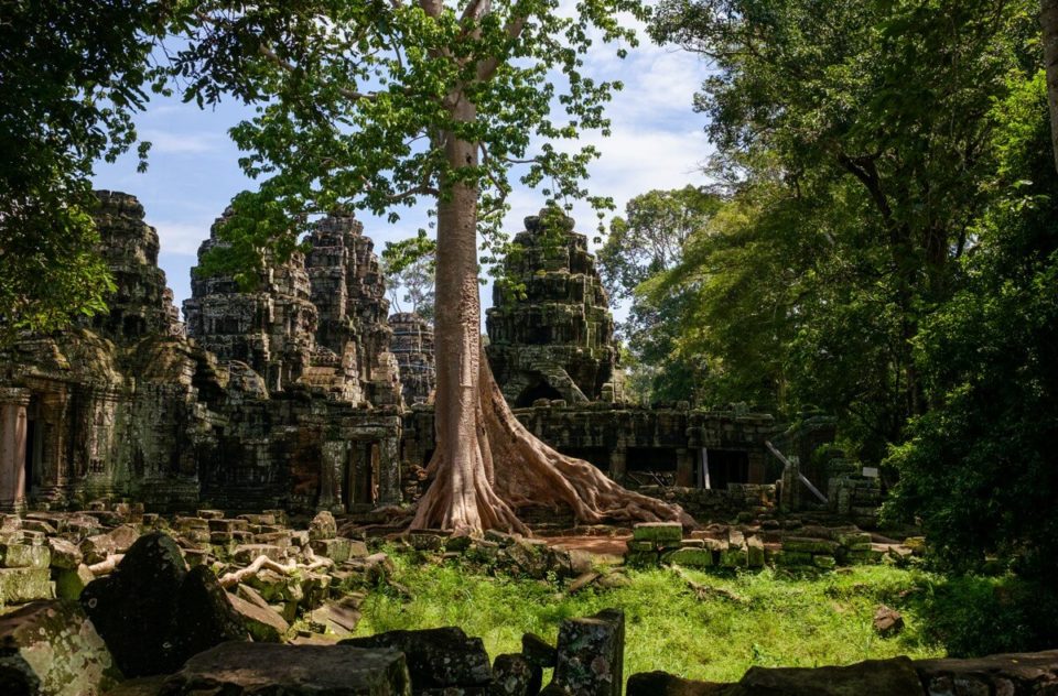 Angkor Thom, Ta Prohm, Banteay Srei, Siem Reap, Cambodia