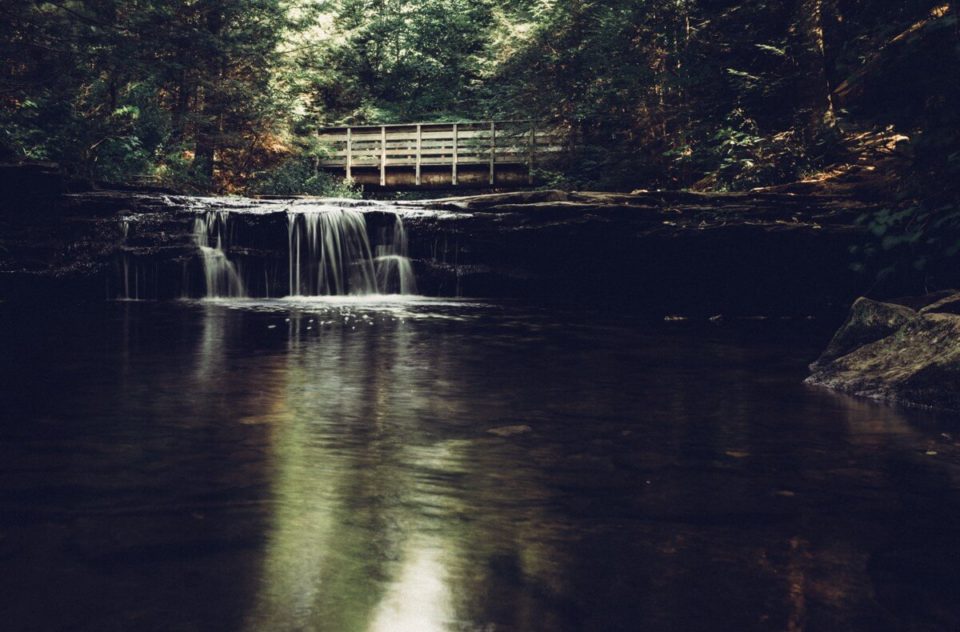 Ricketts Glen State Park, Falls Trail, PA